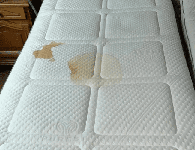 matras-gereinigd-voor-foto matras-gereinigd-voor-foto